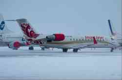 503 КБ