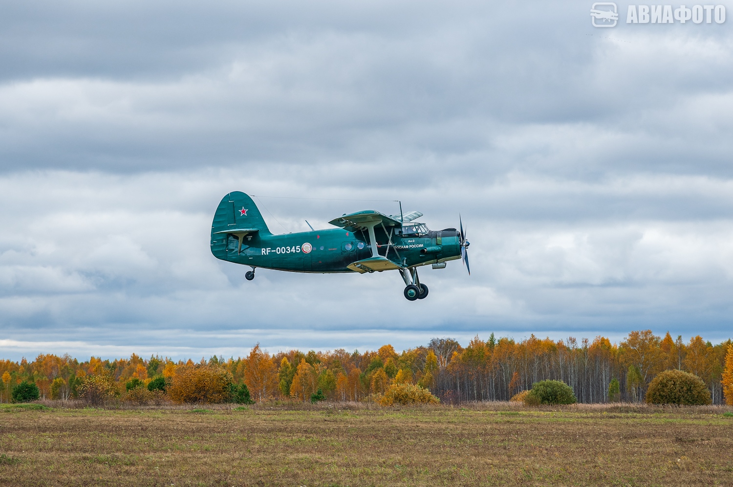 RF-00345