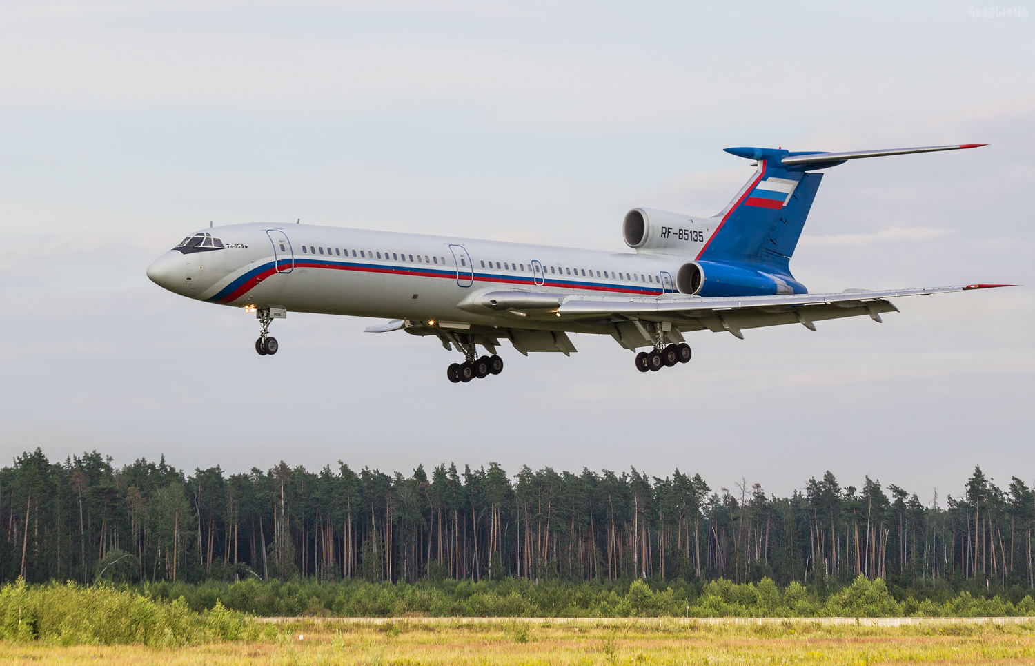 RF-85135