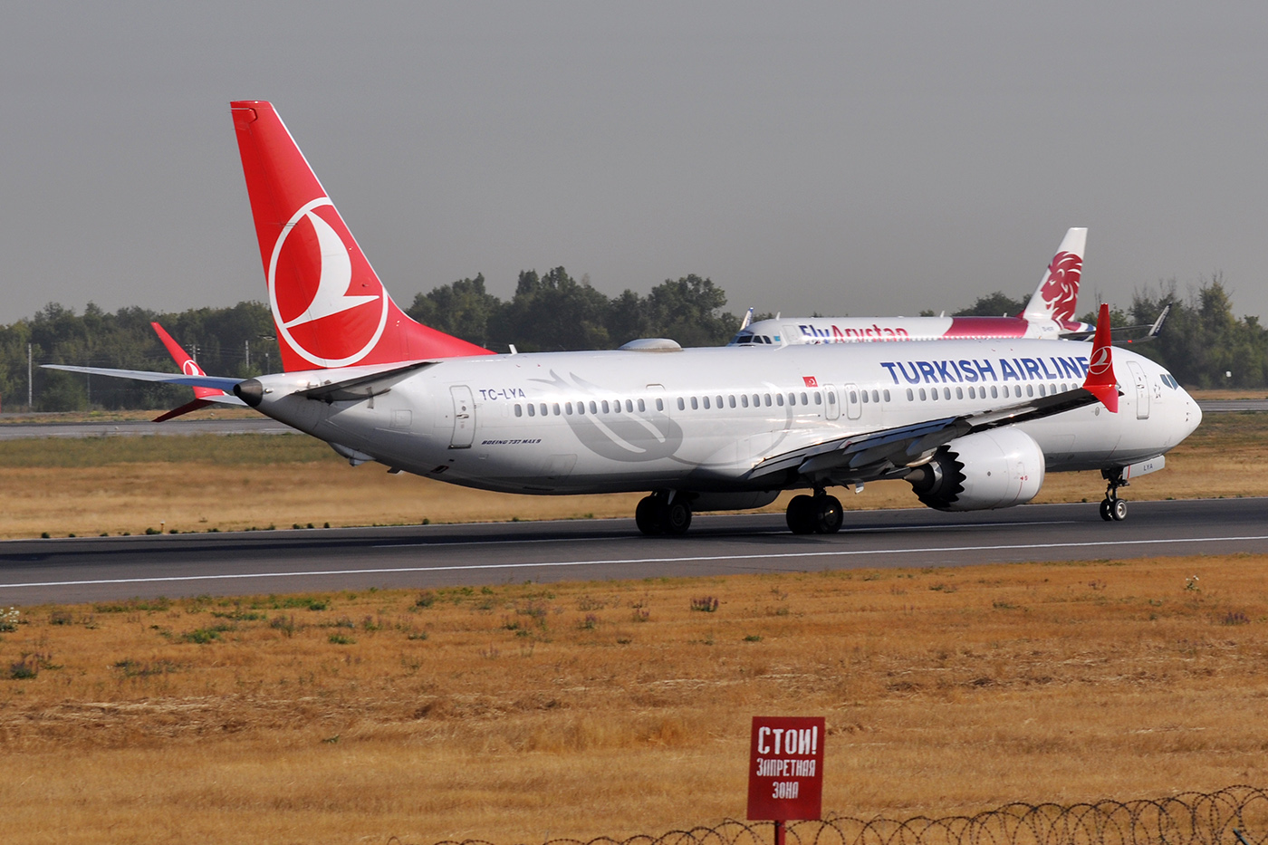 TC-LYA