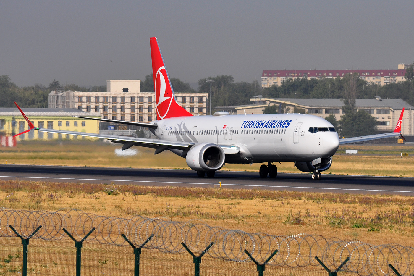 TC-LYA