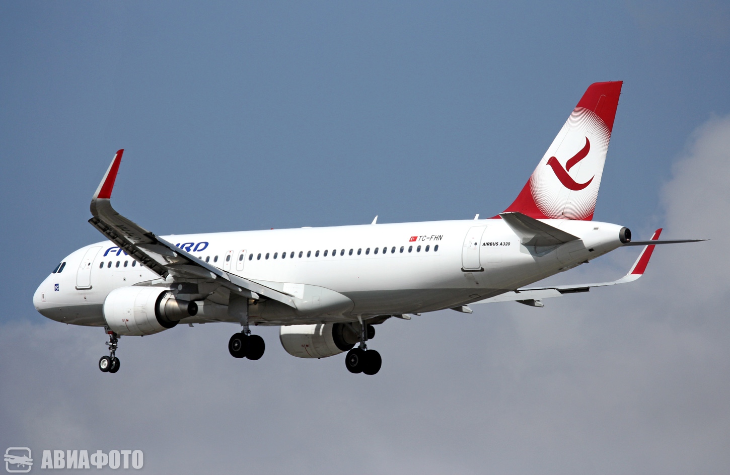 TC-FHN