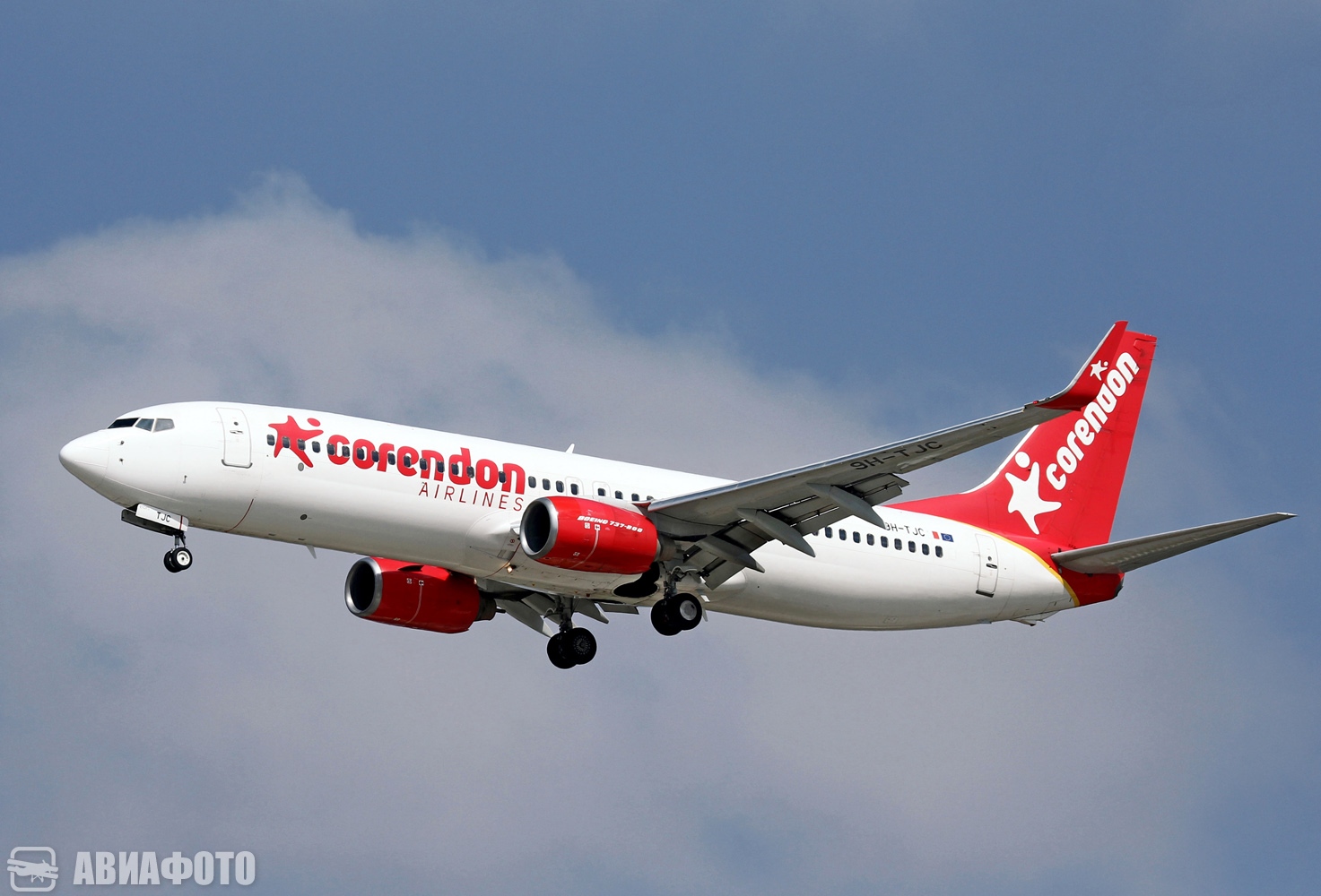 9H-TJC