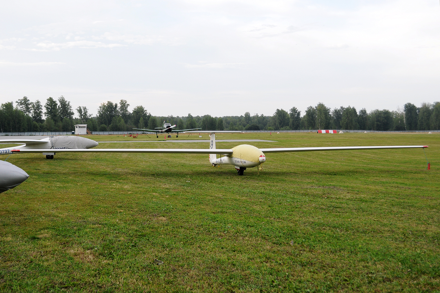 RF-00739