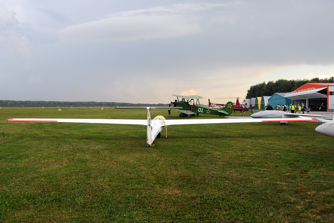 RF-00739