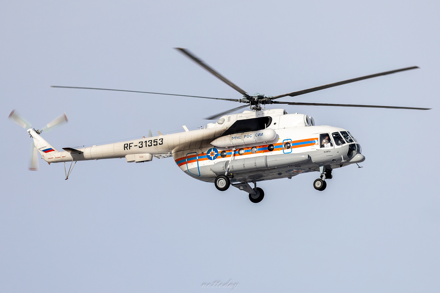 RF-31353