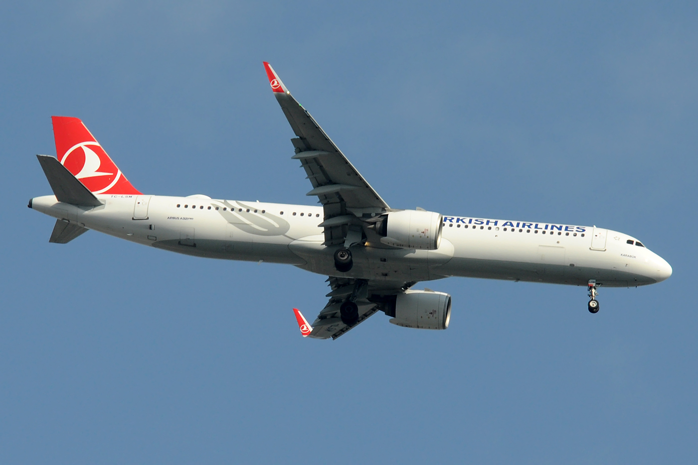 TC-LSM