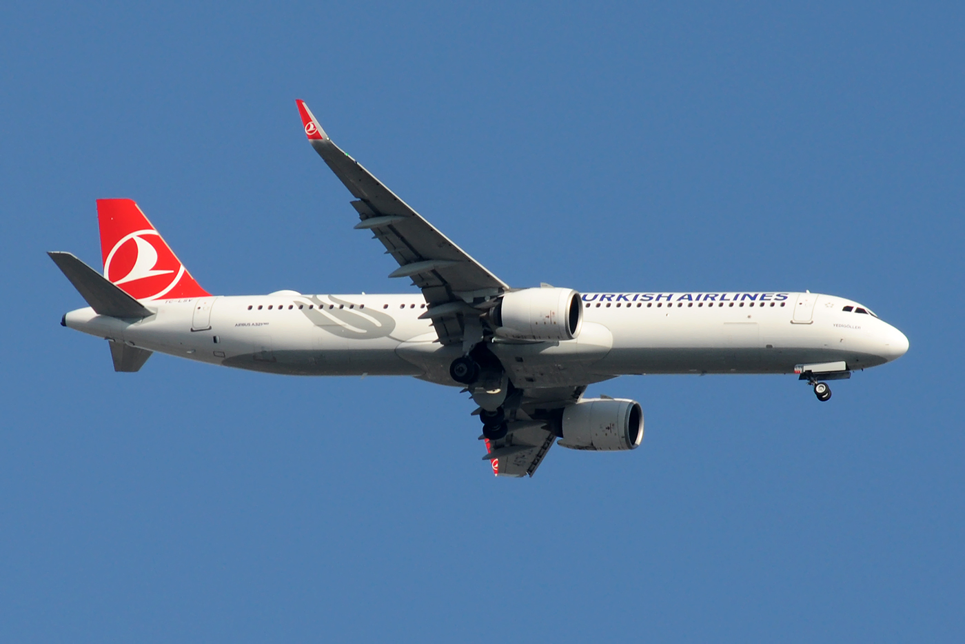 TC-LSV