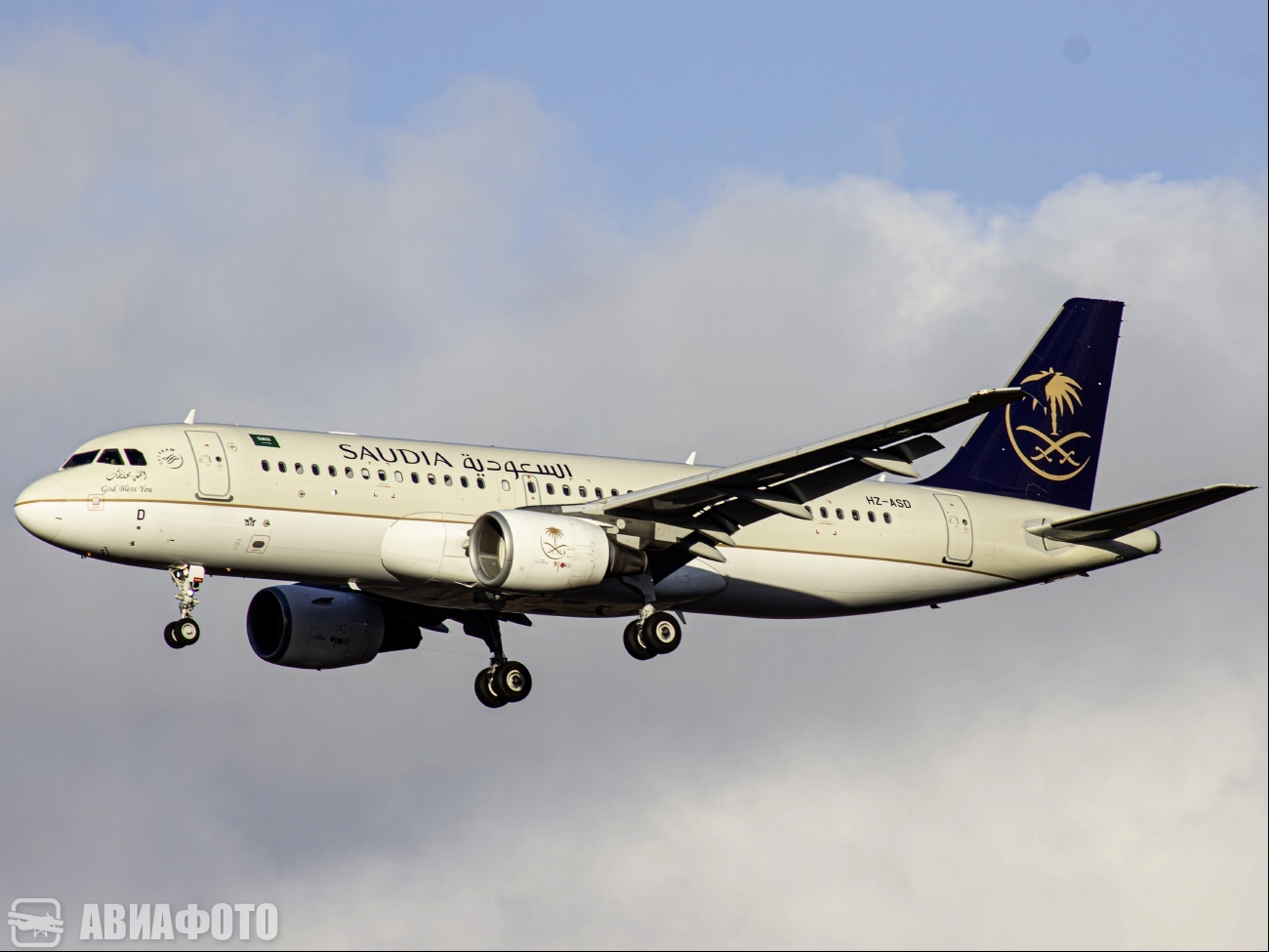 HZ-ASD