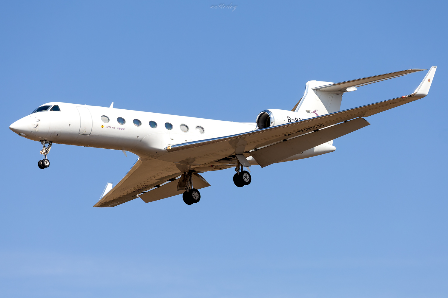 B-8255