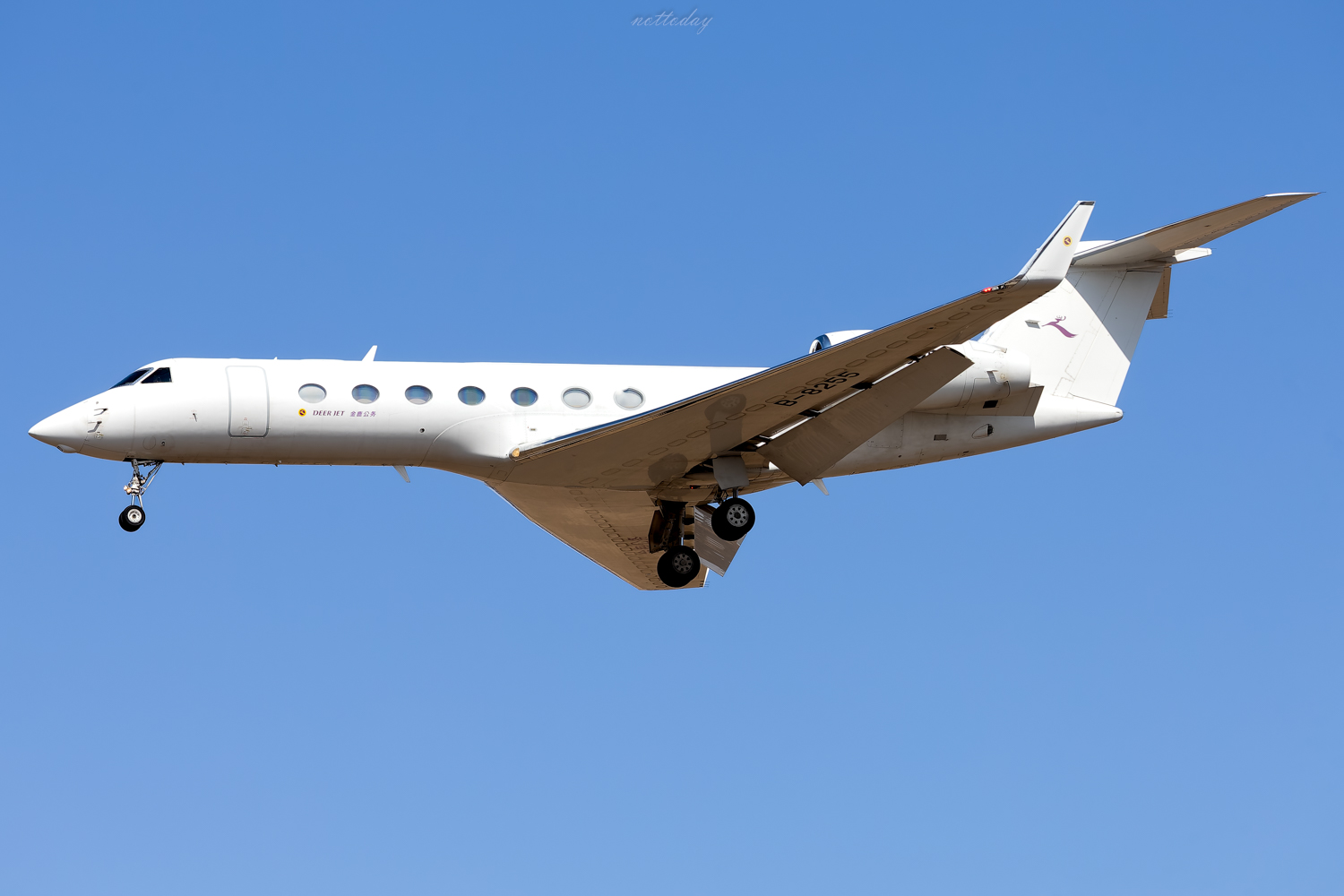 B-8255
