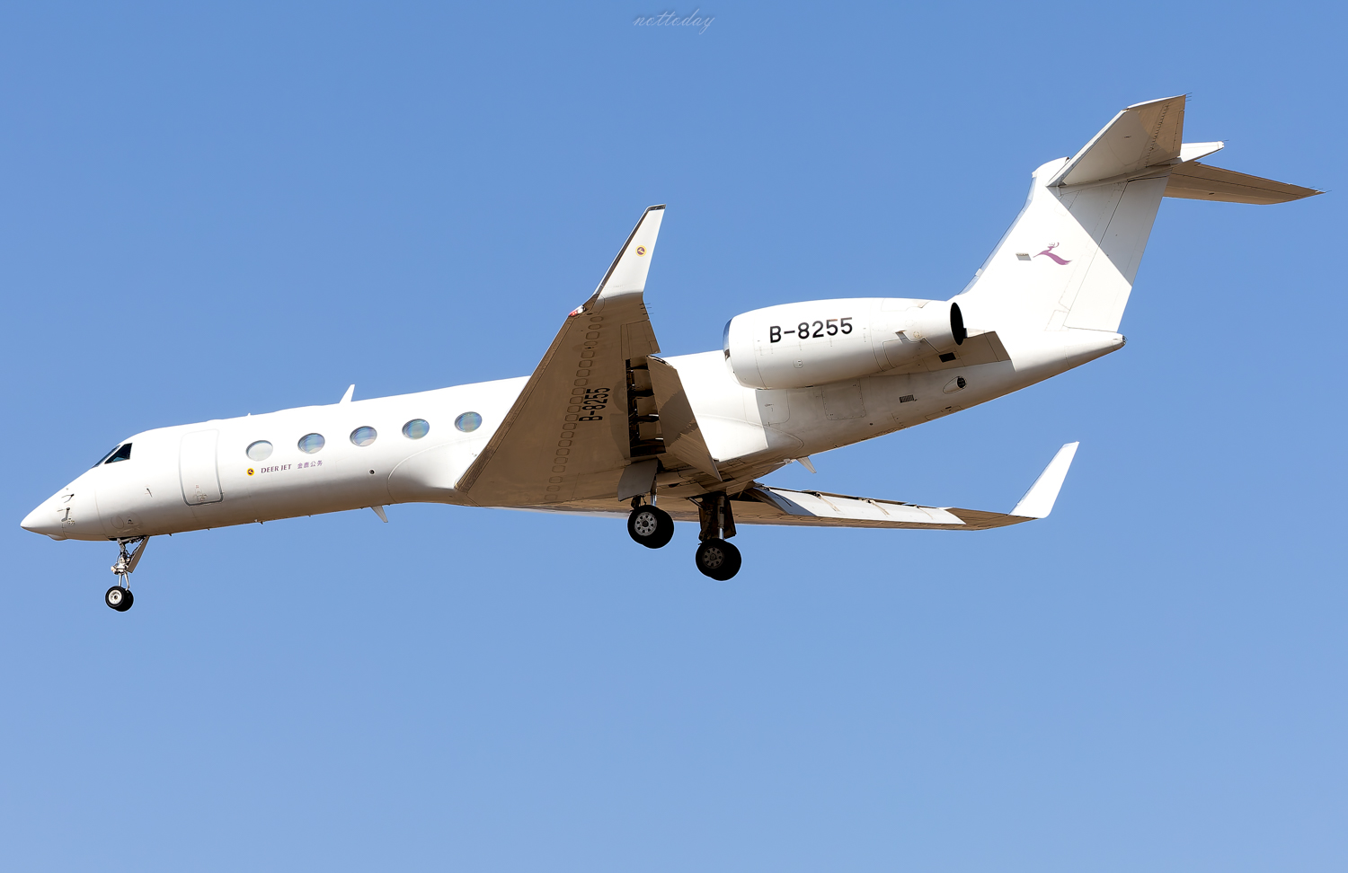 B-8255