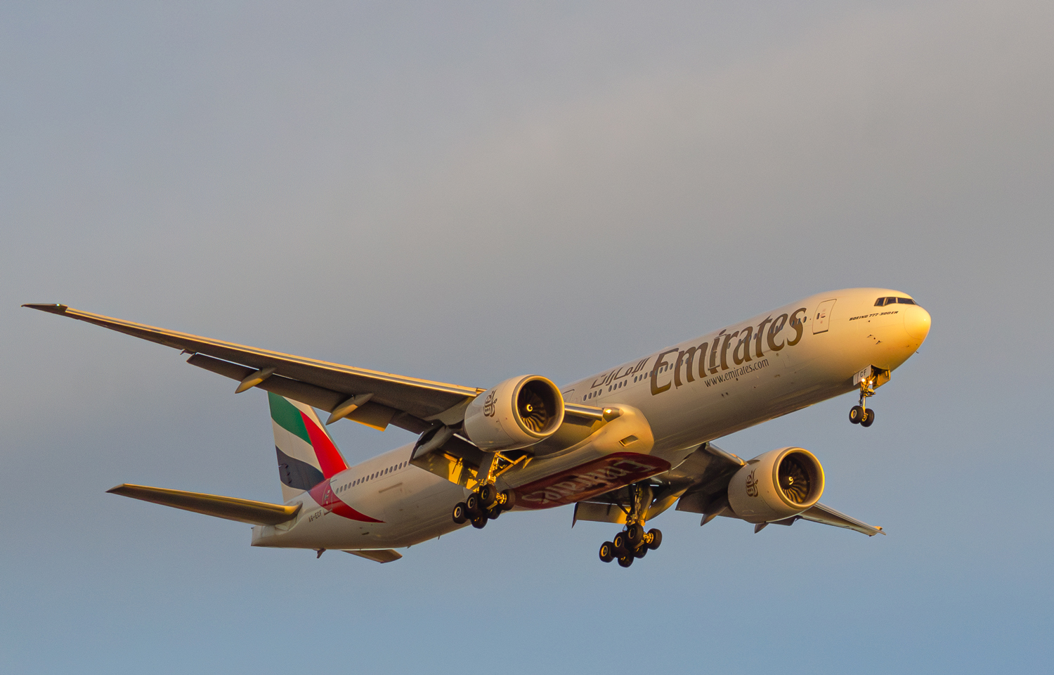 A6-ECF