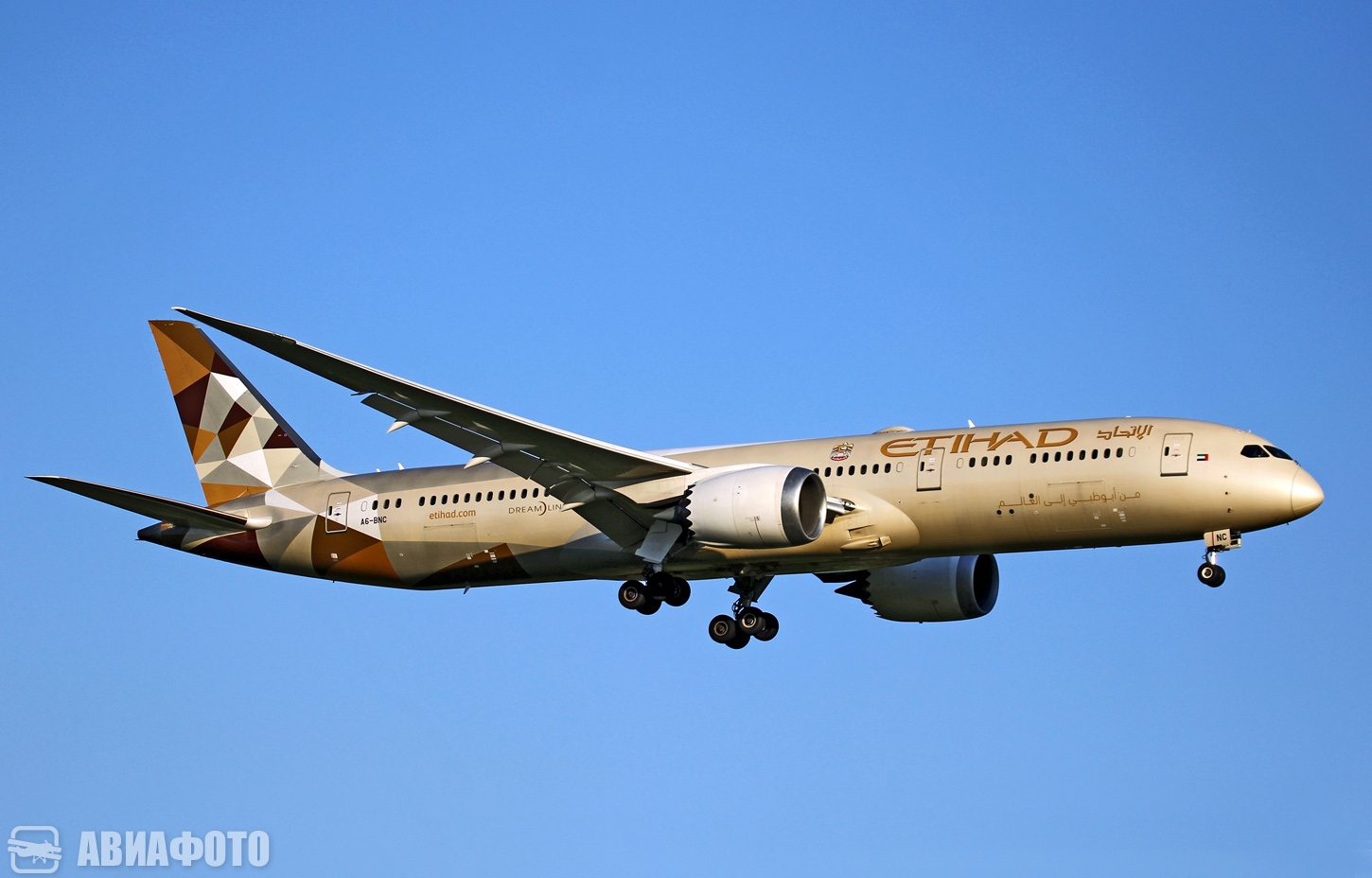 A6-BNC