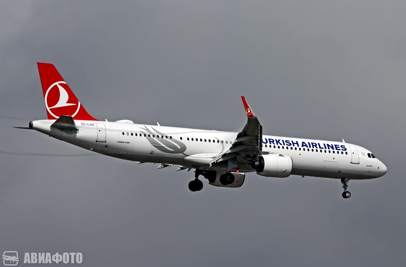 TC-LSO