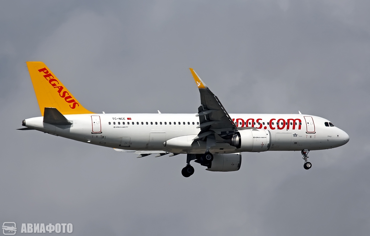 TC-NCE