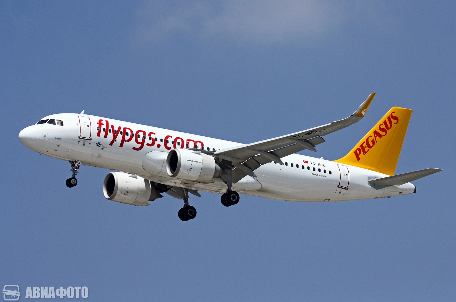 TC-NCL