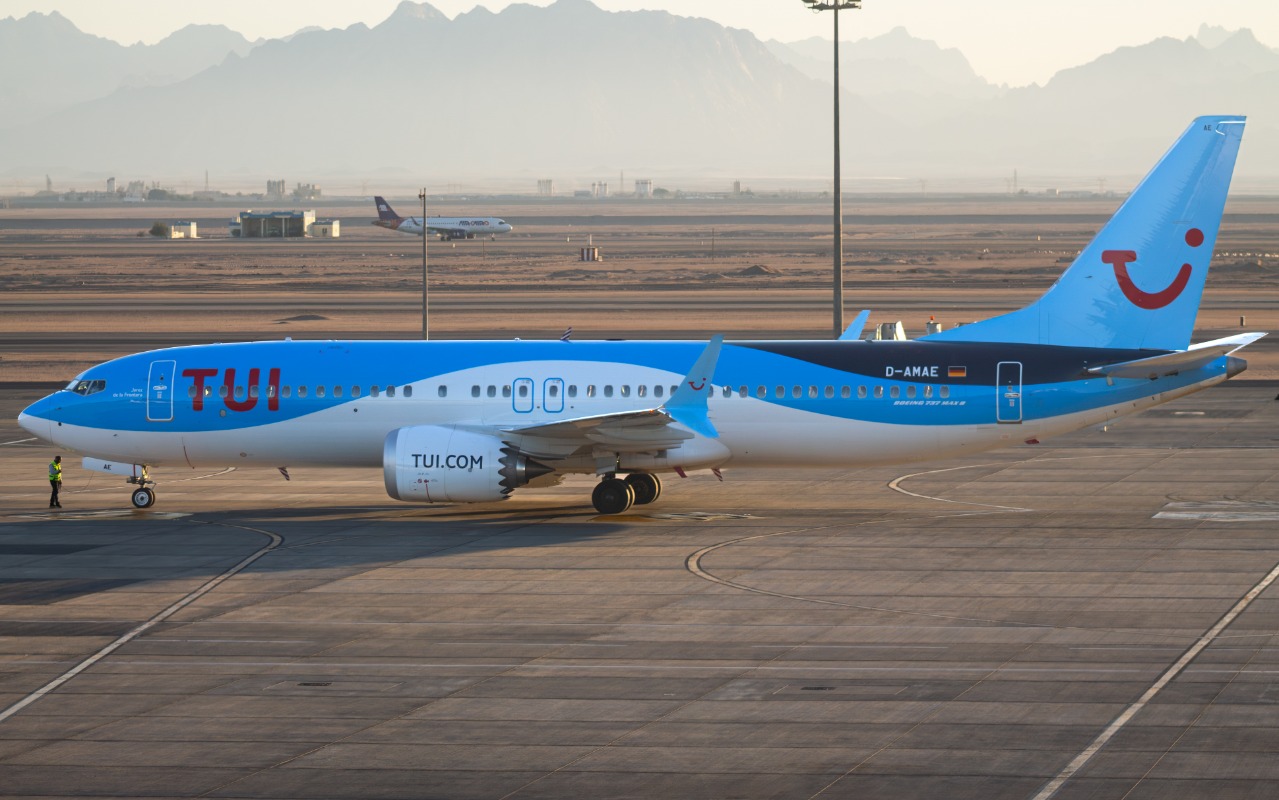 D-AMAE