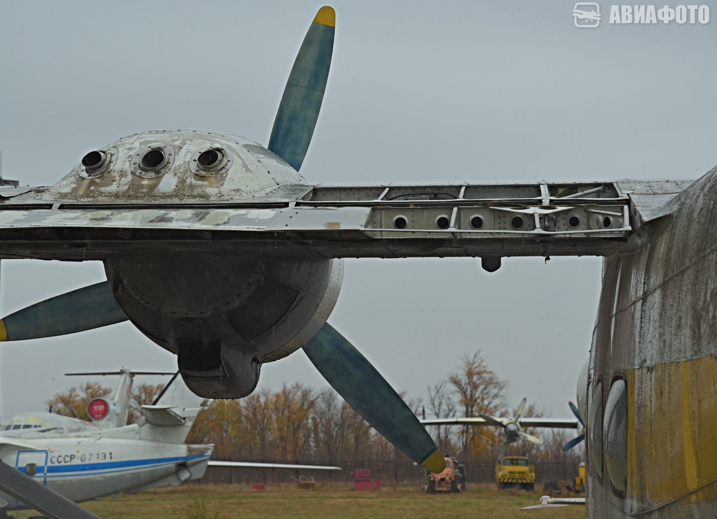 CCCP-81556. Photo creativitiy