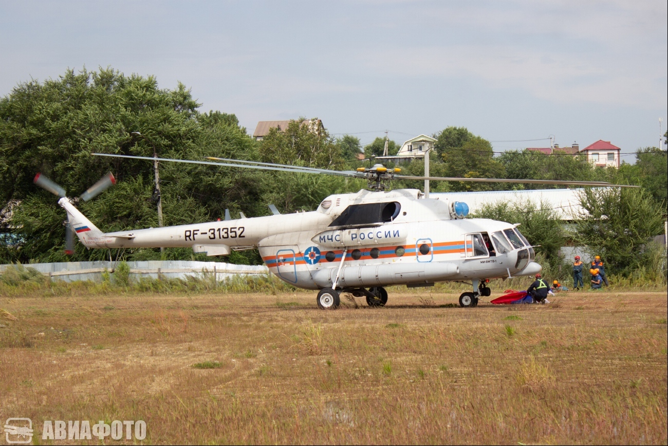 RF-31352