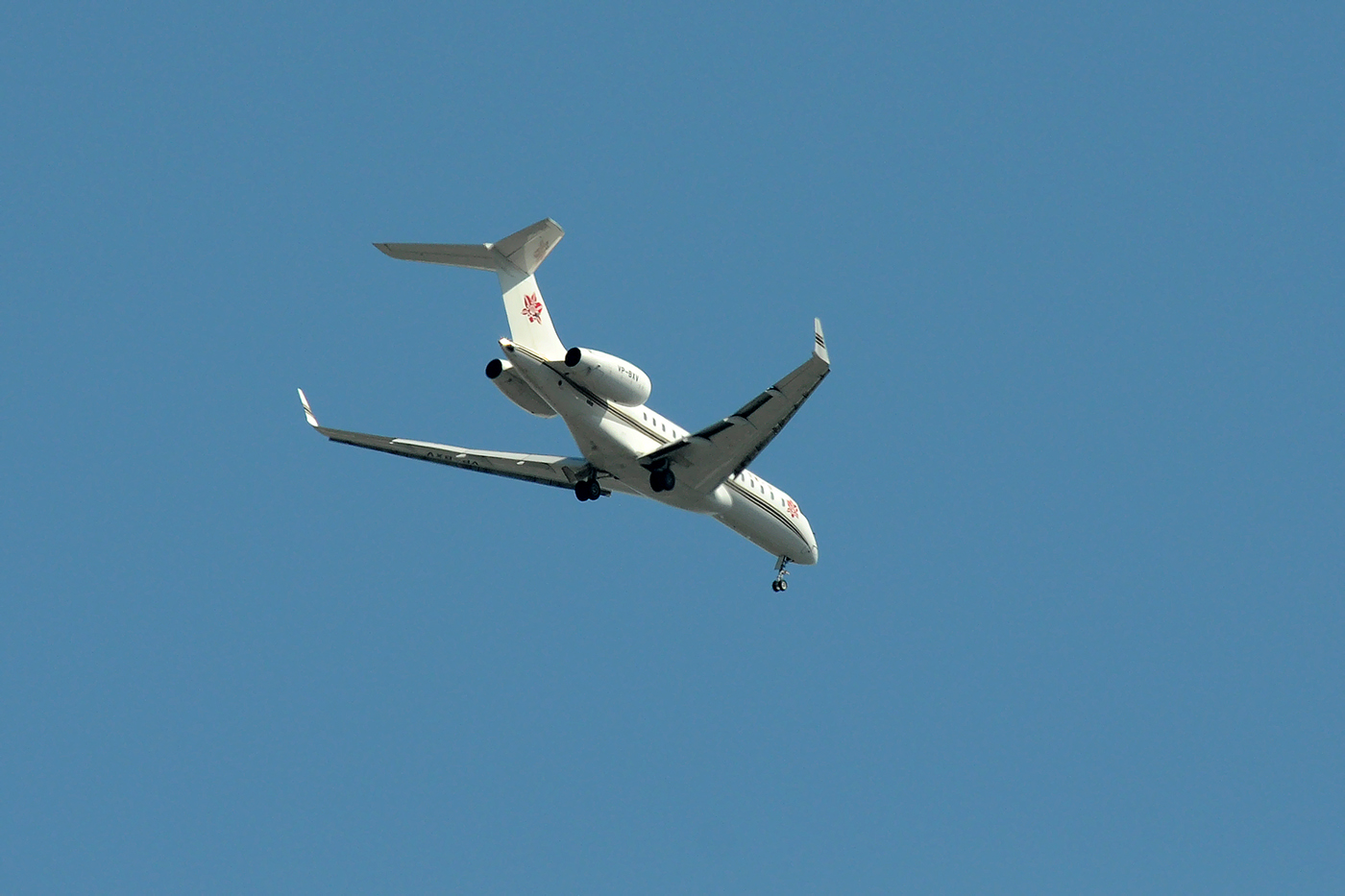 VP-BXV
