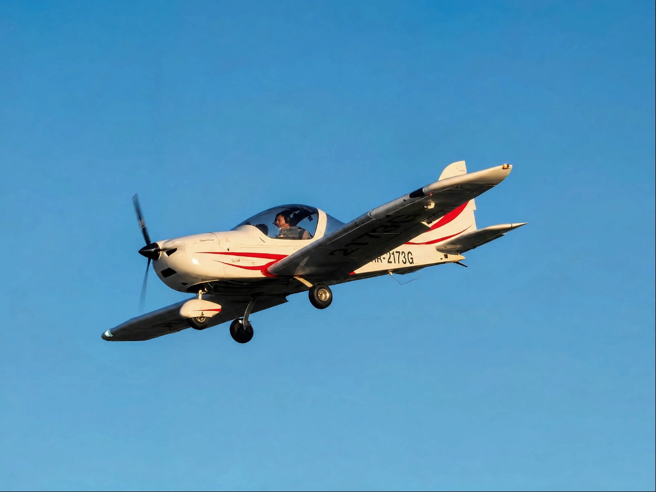 RA-2173G