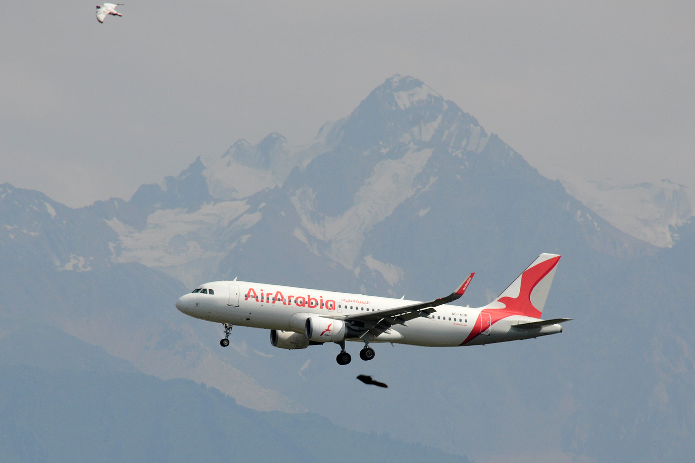 A6-AON