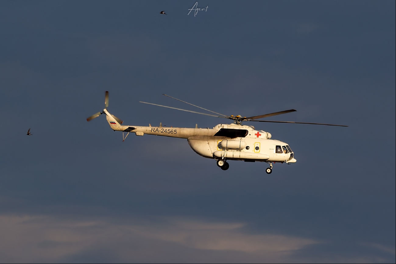 RA-24565